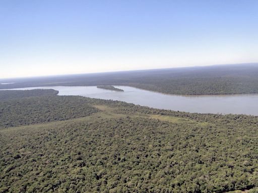 巴西百年洪災不能怪聖嬰，專家稱森林退化釀惡性循環