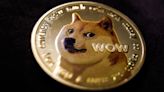 Kabosu, internet sensation dog that inspired meme and Dogecoin, has died, her owner says