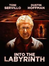 Into the Labyrinth (film)