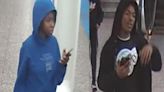 Chicago police seek suspects in 2 CTA Red Line robberies