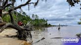 Conoce Goose Creek State Park y las opciones que ofrece para disfrutar del verano en Carolina del Norte