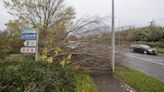 Power cuts hit 100,000 homes as Storm Debi sweeps across Ireland