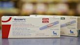 Fake Ozempic pens: Patients hospitalised after using counterfeit weight-loss drugs