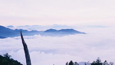 國際護師節快樂 國家森林遊樂區5/1-5/31醫事人員憑證免票入園 | 蕃新聞