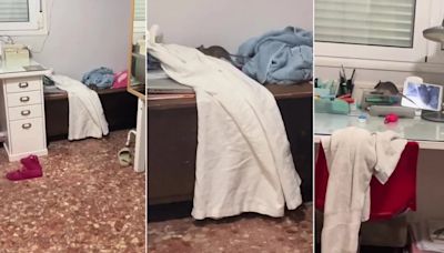 Encontró una rata en su habitación, le gritó a su madre para que la ayudara y el video es furor en TikTok