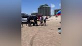 Four shark encounters off Texas island as beachgoers celebrate July 4th