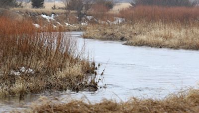 Many Iowa rivers are brimming with nitrate