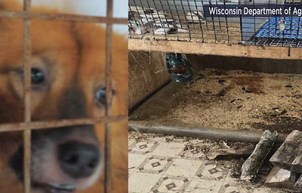 'Puppy mills view the dogs as livestock'; Ten Wisconsin breeders named in 'Horrible Hundred' report