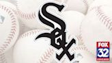 Erick Fedde stars as the White Sox beat the Nationals 4-0 for doubleheader split