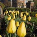 Université du Nord de l'Ohio