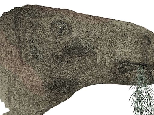 UK’s most complete dinosaur fossil in a century reveals new species