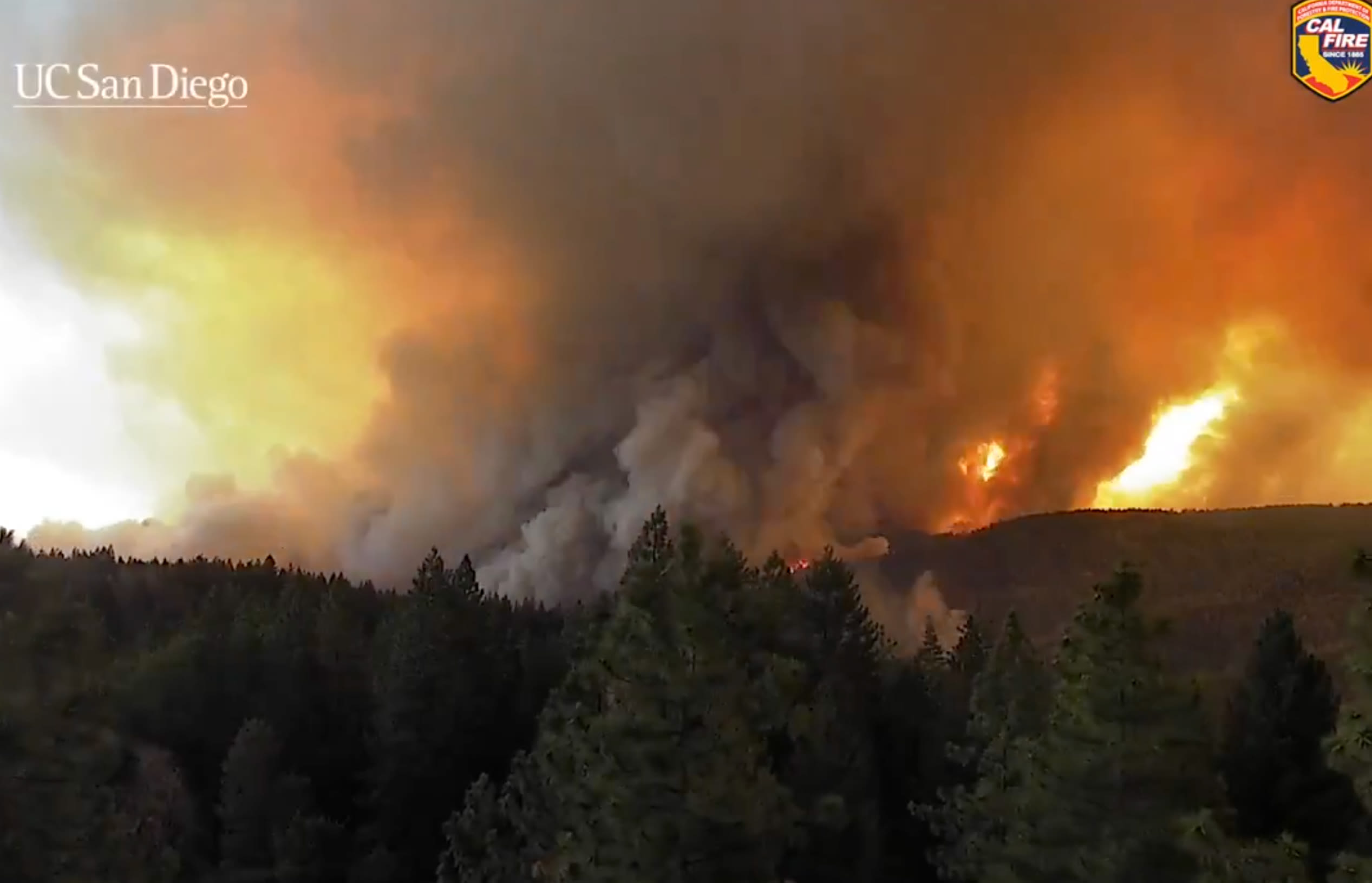 Jaw-dropping satellite video shows Park fire burning from space