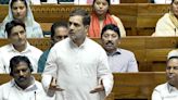 India expects Opposition to defend Constitution: Rahul