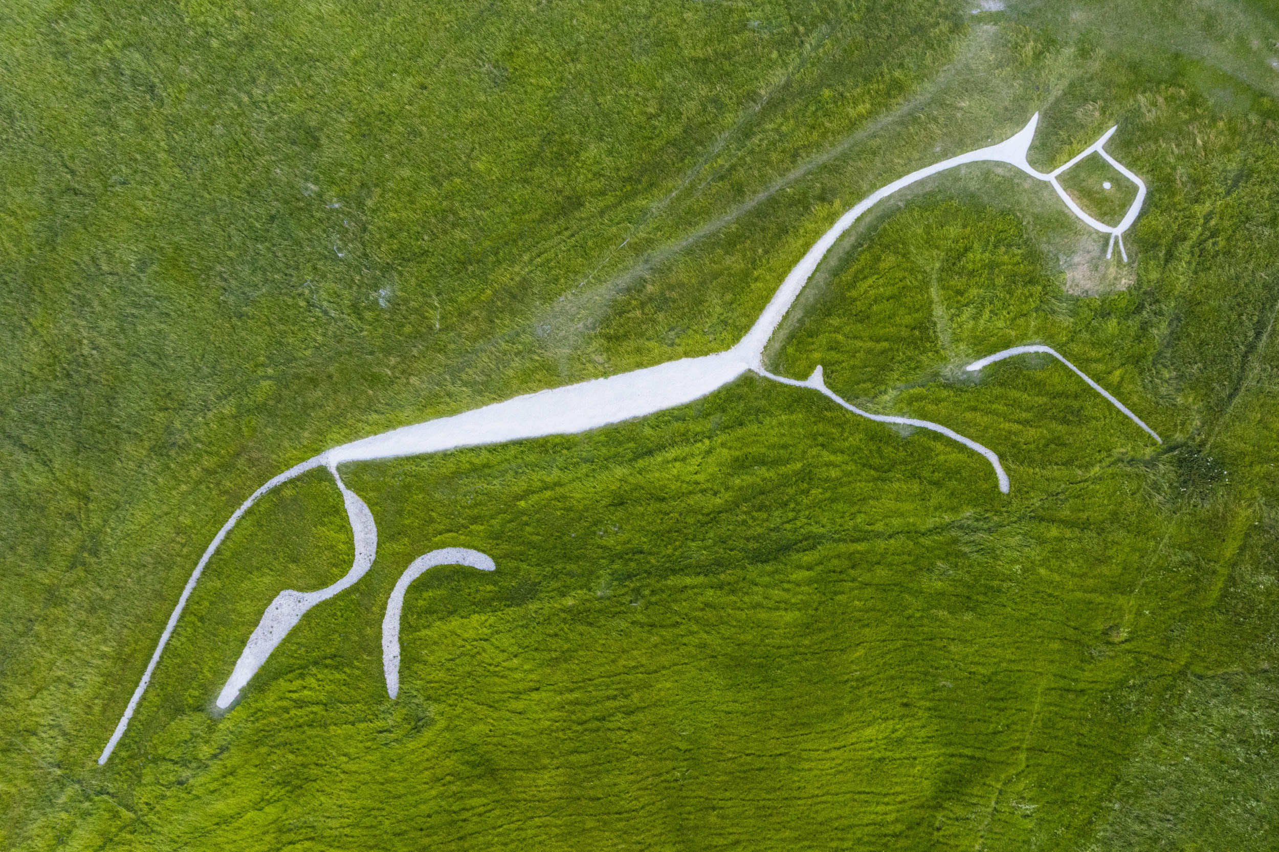"Unique" 360-foot-long prehistoric horse artwork restored to former glory