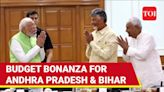 Budget 2024: Modi Govt Rains Cash On Andhra & Bihar | Big Bonanza For States Ruled By NDA Allies