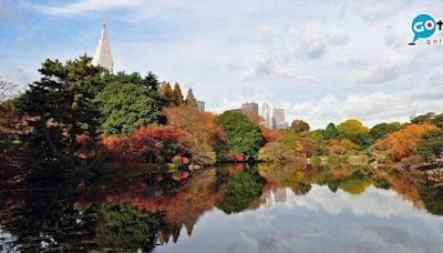 東京紅葉2023｜最佳賞楓時間＋7大紅葉打卡景點＋美食推介