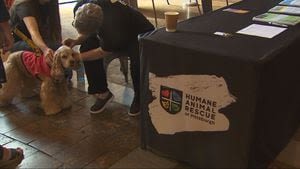 Humane Animal Rescue of Pittsburgh celebrates 150 years with ‘Day of Giving’ campaign