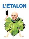 L'étalon