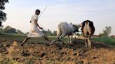 Union Budget 2024: A crucial turning point for Indian agriculture