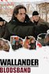 Wallander - Jokern