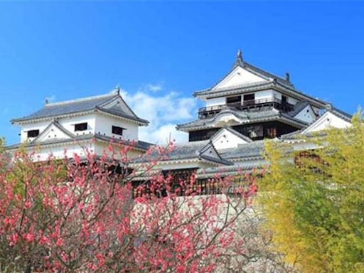 國人赴日旅遊平均提前近三個月預訂住宿 二線城市及地方特色景點旅遊比例增 - 財經