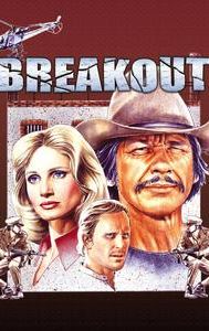 Breakout (1975 film)