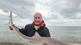 Anglers look forward to upcoming competitions on the Leeds Liverpool Canal