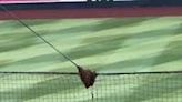 US: Swarm Of Bees Disrupts MLB Game Between Diamondbacks And Dodgers At Phoenix Chase Field