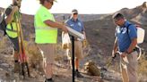 Lake Havasu City plans park improvements, approves Island park path project