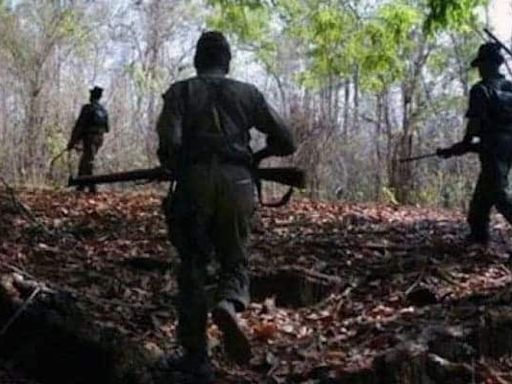 14 Maoists Surrender Before Security Forces In Chhattisgarh: Cops
