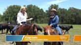 Diamond D Ranch opens registration for summer horse camps: | 30 years of equestrian excellence and fun for kids
