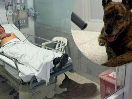 Conmovedor: a hombre que se recupera en hospital de Medellín le dejaron ingresar a su perro
