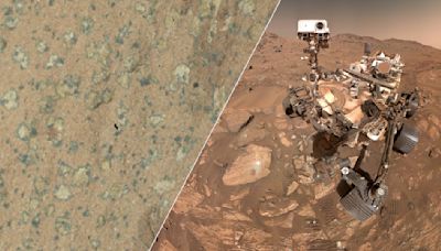 'Leopard-spotted' rock may be a sign of ancient life on Mars