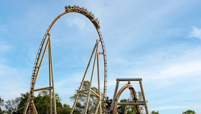 Fight erupts at Busch Gardens in line for Pantheon roller coaster, James City County police say