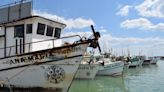 Zarpan miles de pescadores en puertos de Yucatán en busca del pez mero
