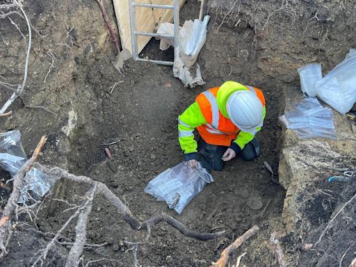 Thousand-year-old skeletons found in hotel garden