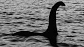 Loch Ness Monster attack insurance listed among strangest policies ever taken out