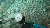 Ming dynasty shipwrecks hide a treasure trove of artifacts in the South China Sea, excavation reveals