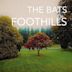 Foothills (album)