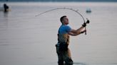 New rules for catching striped bass may save the popular Cape Cod game fish. What to know.