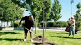 Tree-planting ceremony in Richmond pays tribute to second oldest B.C. resident