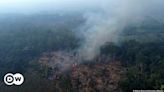 Brazil's Amazon sees worst 6 months of wildfires in 20 years – DW – 07/02/2024