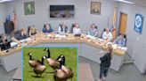 NJ town proceeds with controversial geese plan, despite protests