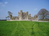 Bective Abbey