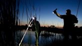 What is frog gigging? What to know about the nostalgic, Oklahoma delicacy