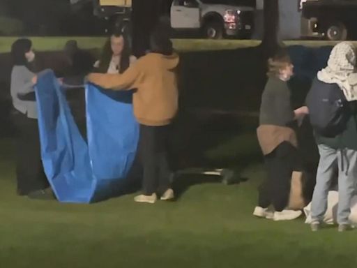 Encampment taken down at Tufts University, protest ends "peacefully and voluntarily"
