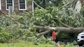 Confirmed tornadoes caused damage, knocked down trees during Maryland storms