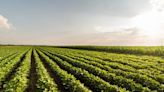 El uso de biológicos en el país ya alcanza un 7% para los cultivos extensivos