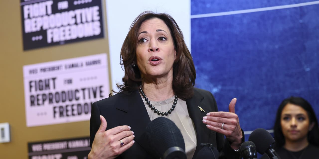 ‘Everything is at stake’ for reproductive rights in 2024, Kamala Harris says