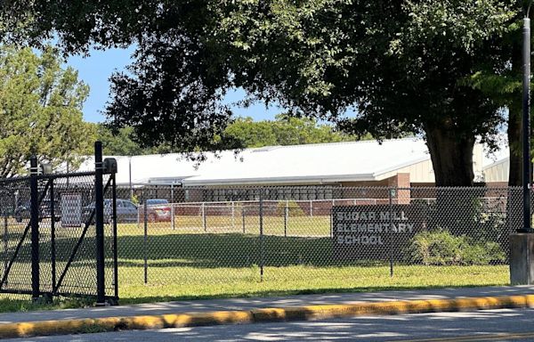 Sugar Mill Elementary student dies after being hit by SUV at school crosswalk: police